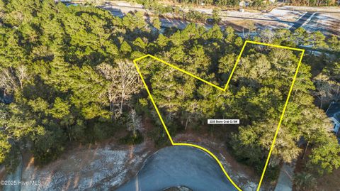 Tiny photo for 3335 Stone Crab Court SW, Supply, NC 28462 (MLS # 100545317)