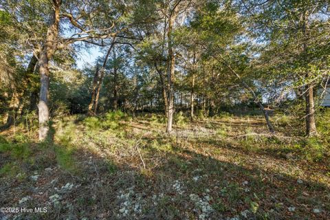 Tiny photo for 3335 Stone Crab Court SW, Supply, NC 28462 (MLS # 100545317)