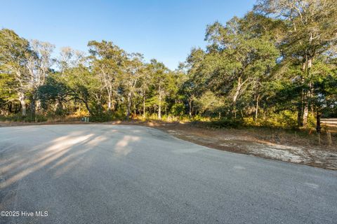 Tiny photo for 3335 Stone Crab Court SW, Supply, NC 28462 (MLS # 100545317)