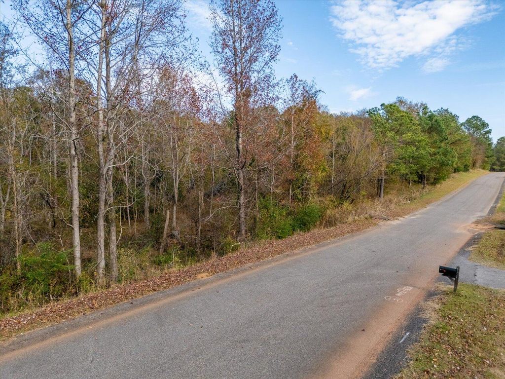 Photo of 106 Rolling Hills Dr Dr, Trenton, SC 29847 (MLS # 549428)