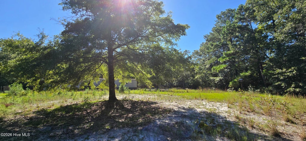 Photo of 345 Supply Street SE, Supply, NC 28462 (MLS # 100609870)