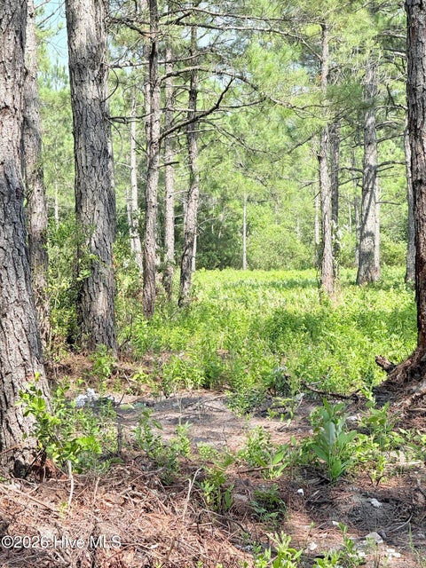 Tiny photo for 00 Seaside. (12.25 Acres) Road SW, Sunset Beach, NC 28468 (MLS # 100602141)