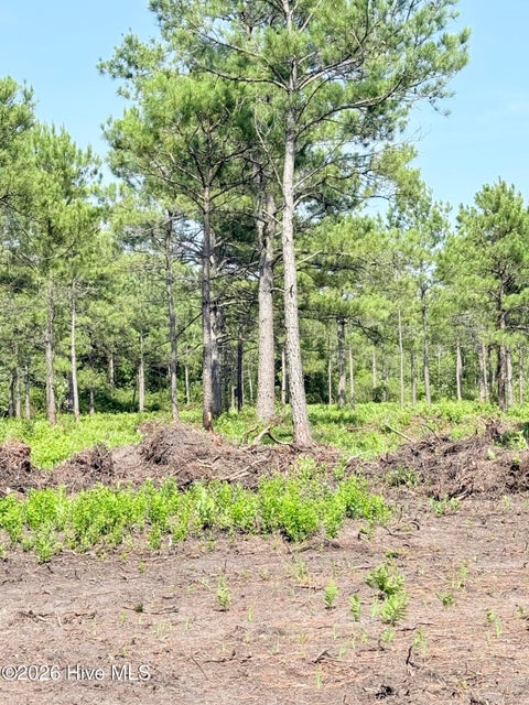 Tiny photo for 00 Seaside. (12.25 Acres) Road SW, Sunset Beach, NC 28468 (MLS # 100602141)