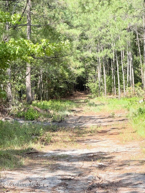 Tiny photo for 00 Seaside. (12.25 Acres) Road SW, Sunset Beach, NC 28468 (MLS # 100602141)