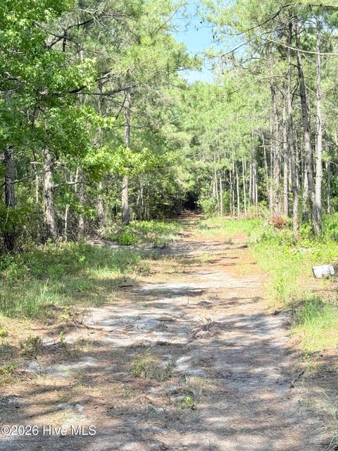 Tiny photo for 00 Seaside. (12.25 Acres) Road SW, Sunset Beach, NC 28468 (MLS # 100602141)