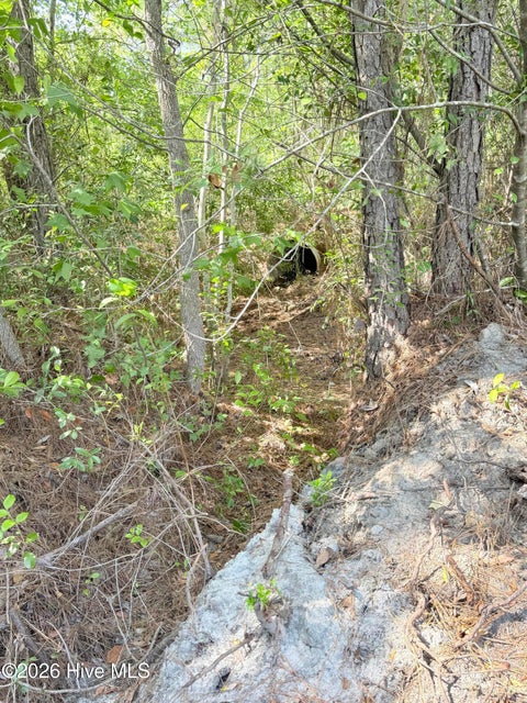 Tiny photo for 00 Seaside. (12.25 Acres) Road SW, Sunset Beach, NC 28468 (MLS # 100602141)