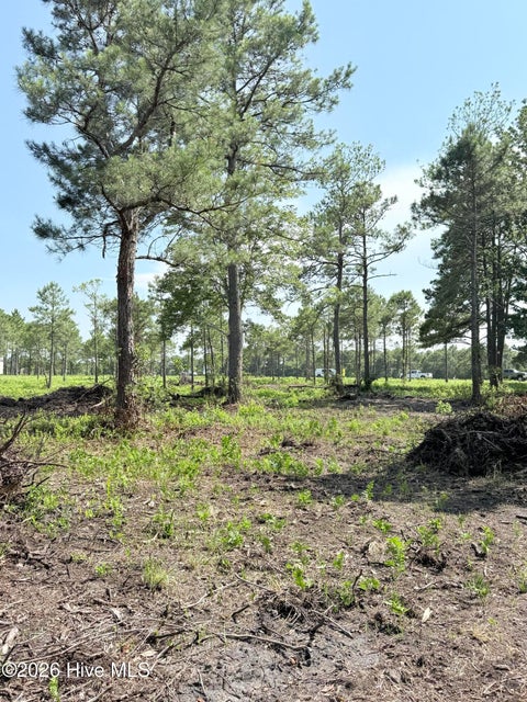 Tiny photo for 00 Seaside. (12.25 Acres) Road SW, Sunset Beach, NC 28468 (MLS # 100602141)