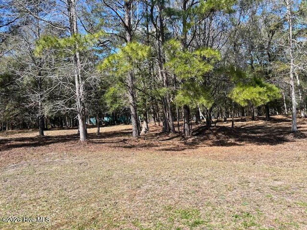 Photo of 3313 Sugar Sand Drive, Bolivia, NC 28422 (MLS # 100560164)