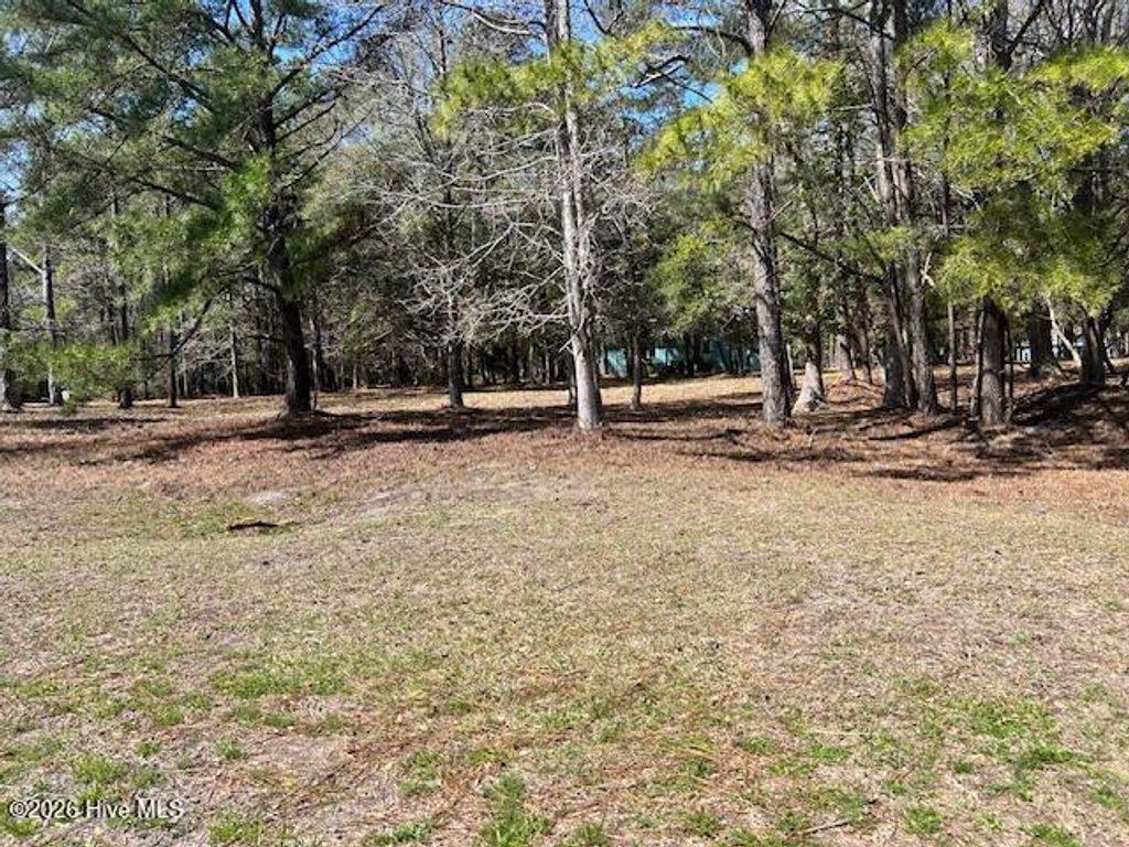 Photo of 3313 Sugar Sand Drive, Bolivia, NC 28422 (MLS # 100560164)