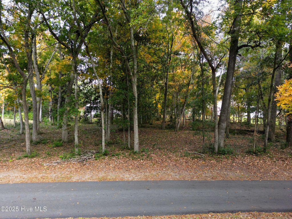 Photo of 9086 Ocean Harbour Golf Club Drive SW, Calabash, NC 28467 (MLS # 100540654)