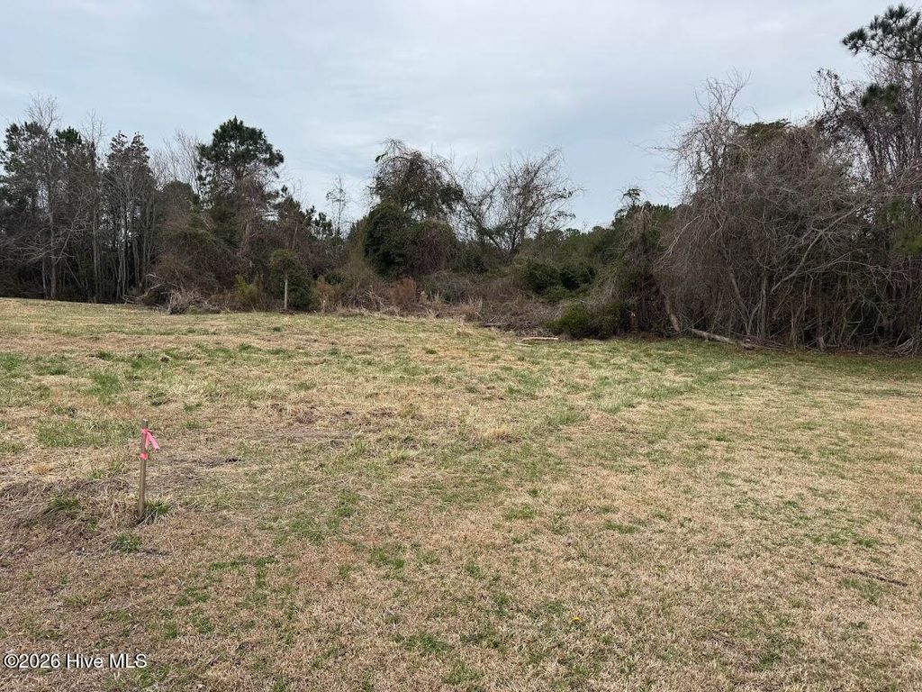 Photo of 0 Horton Drive, Morehead City, NC 28557 (MLS # 100557743)