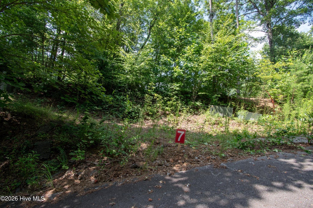 Photo of 125 Desoto Trail, Marble, NC 28905 (MLS # 100588190)