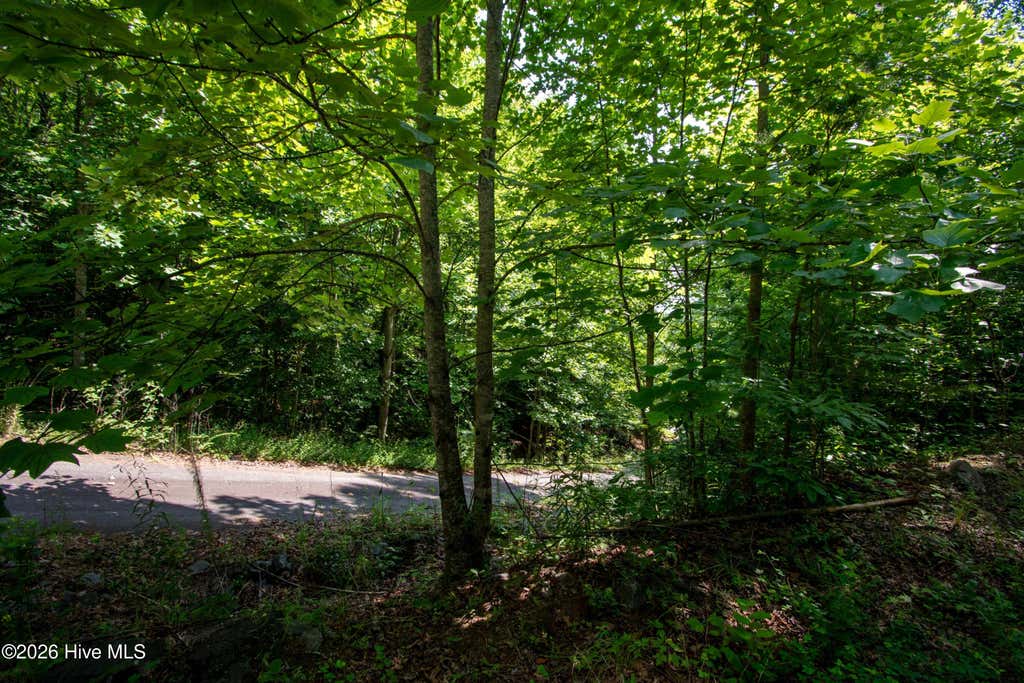 Photo of 125 Desoto Trail, Marble, NC 28905 (MLS # 100588190)