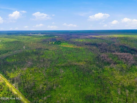 Tiny photo for 10 Address Tbd, Boiling Spring Lakes, NC 28461 (MLS # 100584045)