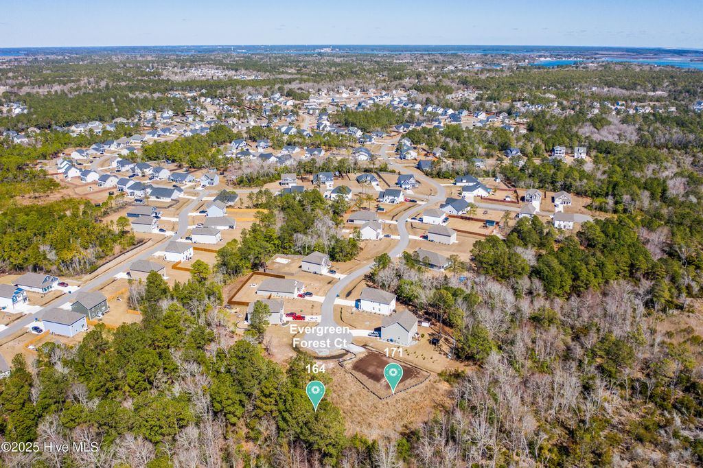 Photo of 171 Evergreen Forest Court, Sneads Ferry, NC 28460 (MLS # 100525150)