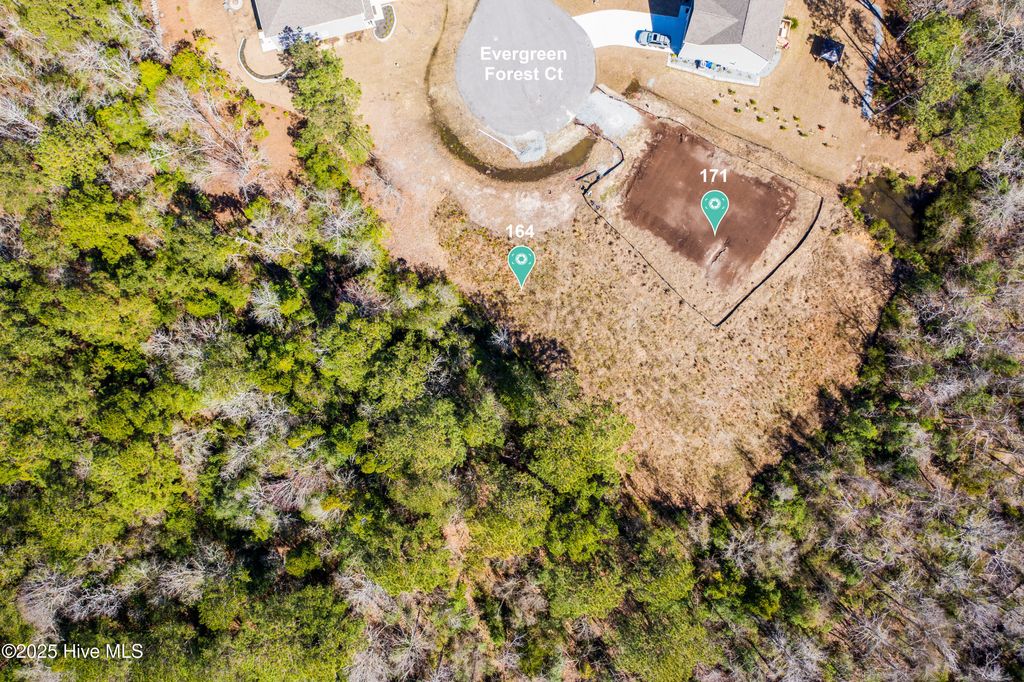 Photo of 171 Evergreen Forest Court, Sneads Ferry, NC 28460 (MLS # 100525150)