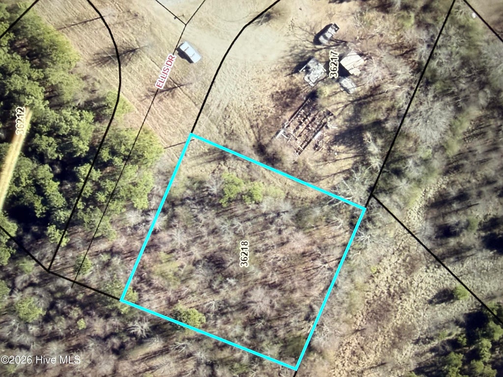 Photo of 3845 Ellis Drive, Farmville, NC 27828 (MLS # 100611812)