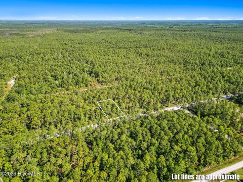 Tiny photo for 6 Juniper Road, Boiling Spring Lakes, NC 28461 (MLS # 100575093)
