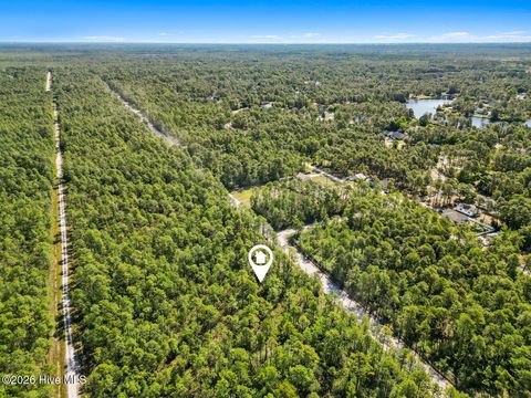 Photo of 6 Juniper Road, Boiling Spring Lakes, NC 28461 (MLS # 100575093)