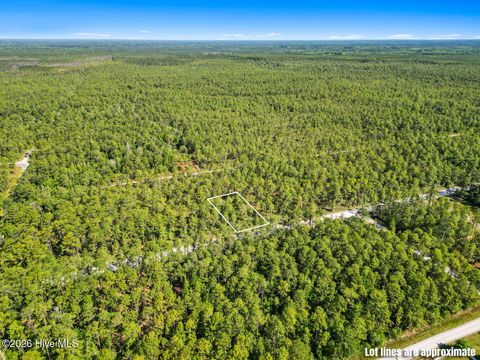Tiny photo for 6 Juniper Road, Boiling Spring Lakes, NC 28461 (MLS # 100575093)