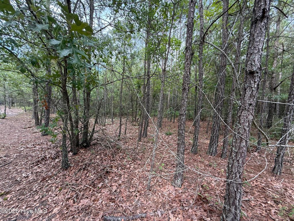 Photo of 2162 Old Pamlico Beach Road W, Belhaven, NC 27810 (MLS # 100548671)