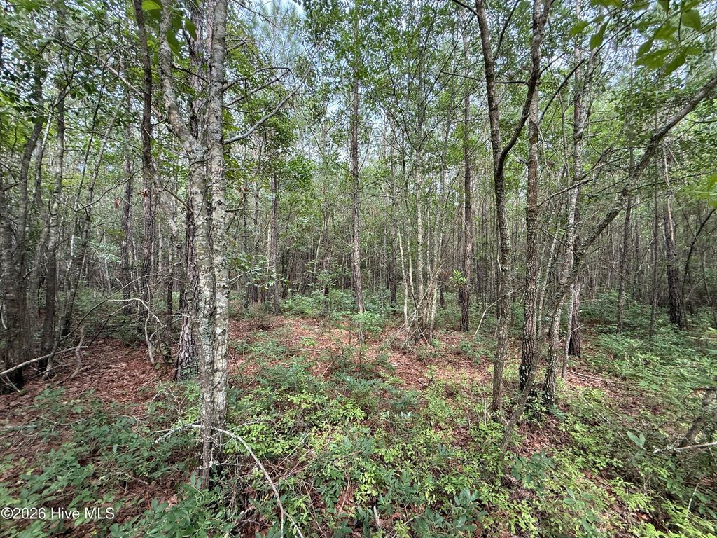 Photo of 2162 Old Pamlico Beach Road W, Belhaven, NC 27810 (MLS # 100548671)