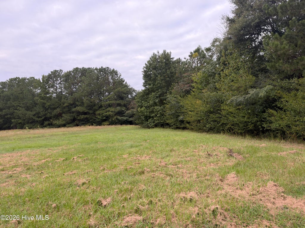 Photo of 144 Deerfield Road, Garysburg, NC 27831 (MLS # 100607185)