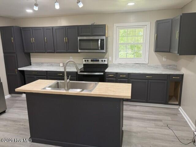 Photo of 146 Cumbo Road, Rich Square, NC 27869 (MLS # 100608823)