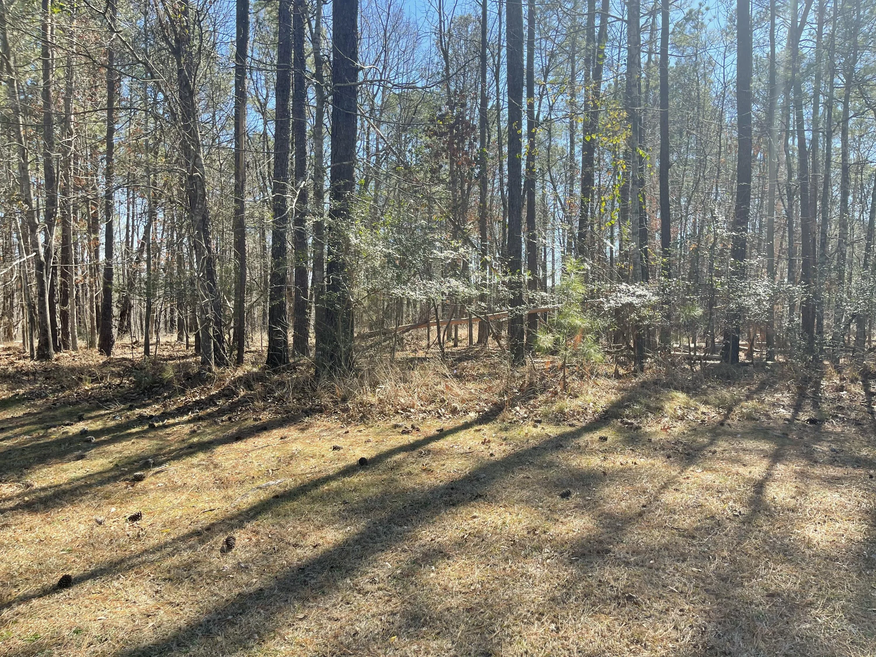 Lot H-57 Longstreet Place