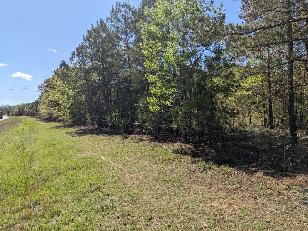 Photo of 4781 Deans Bridge Road, Blythe, GA 30805 (MLS # 100603663)