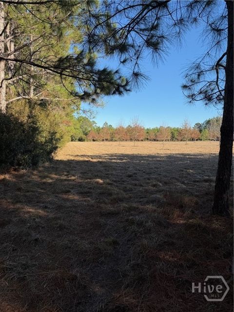 Vacant Land For Sale - 3C Mccall Road<br/> Springfield, GA 31329