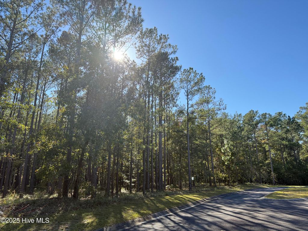 Photo of 606 Bendigo Passage SE, Bolivia, NC 28422 (MLS # 100537378)