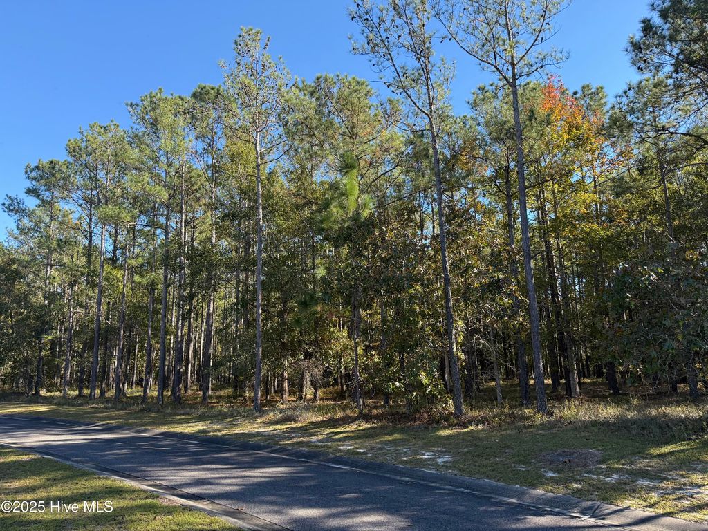 Photo of 606 Bendigo Passage SE, Bolivia, NC 28422 (MLS # 100537378)