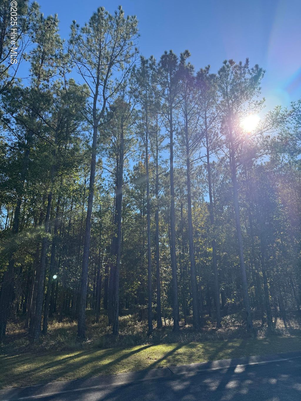 Photo of 606 Bendigo Passage SE, Bolivia, NC 28422 (MLS # 100537378)