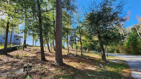 Photo of 3753 White Cliffs Drive, Castle Hayne, NC 28429 (MLS # 100548126)