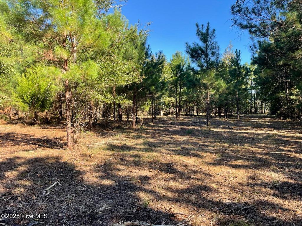 Photo of 327 Garbacon Drive, Beaufort, NC 28516 (MLS # 100537681)