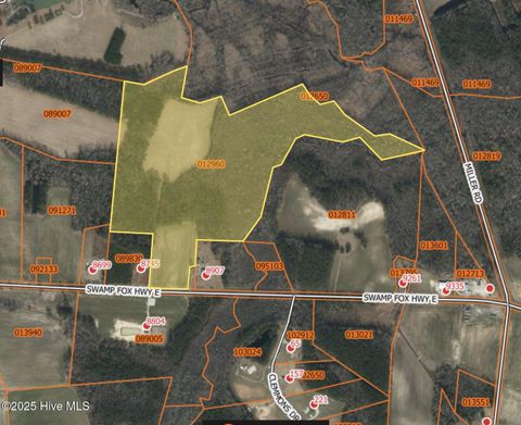 Vacant Land For Sale - NEAR 8745 Swamp Fox Highway<br/> Tabor City, NC 28463