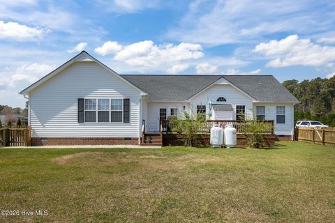Tiny photo for 202 Nikida Court, Swansboro, NC 28584 (MLS # 100568486)