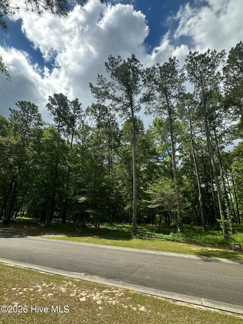 Tiny photo for 201 Lockhaven Drive SE, Bolivia, NC 28422 (MLS # 100576077)