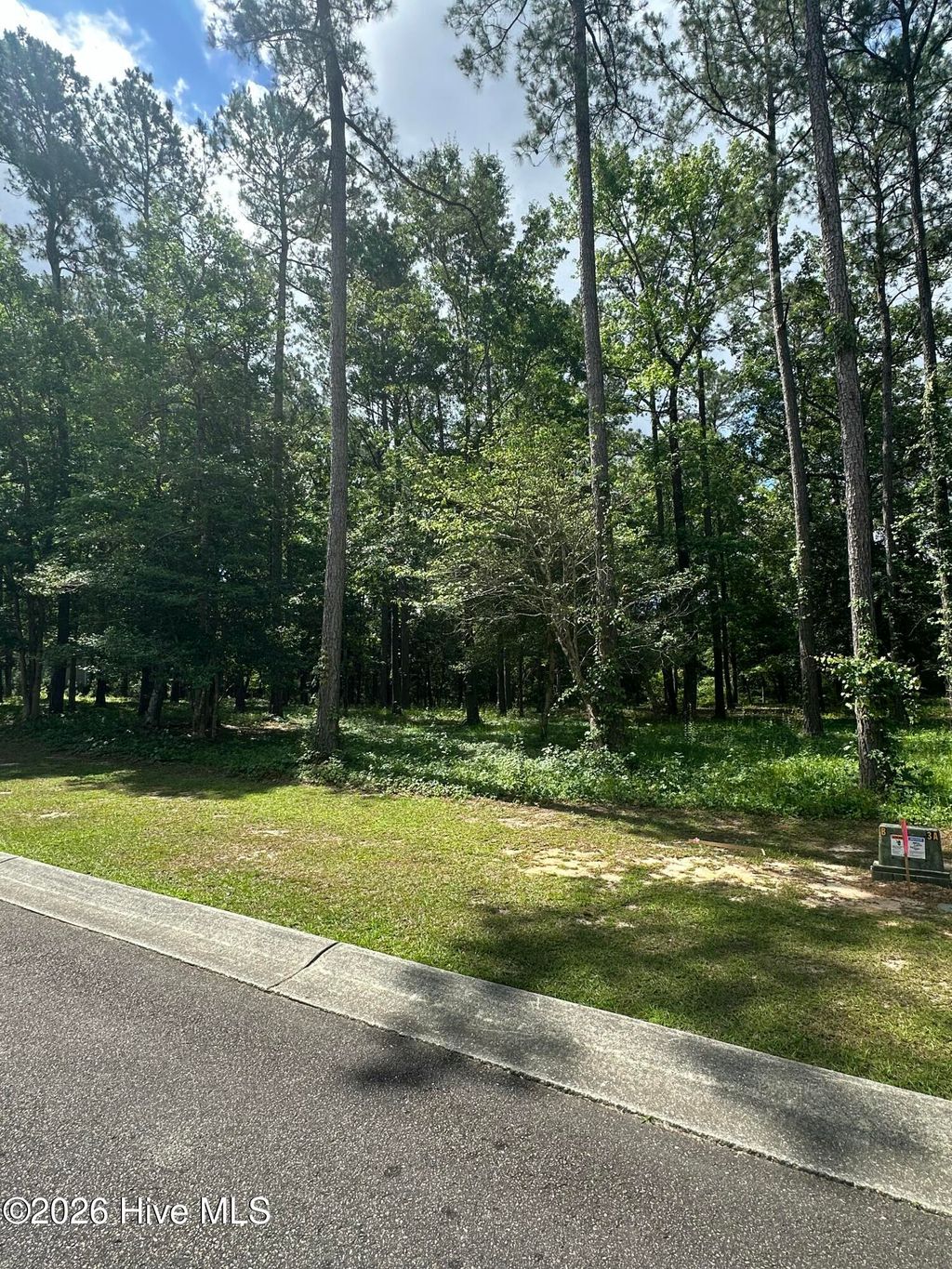 Photo of 201 Lockhaven Drive SE, Bolivia, NC 28422 (MLS # 100576077)