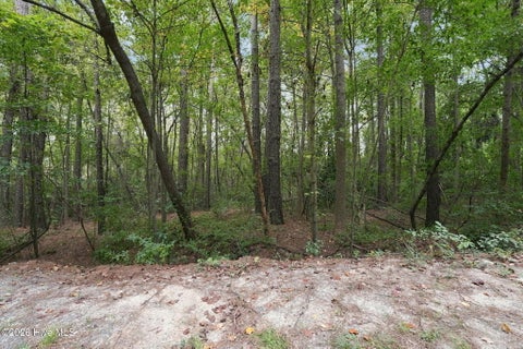 Vacant Land For Sale - 134 Bellhaven Drive<br/> Carthage, NC 28327