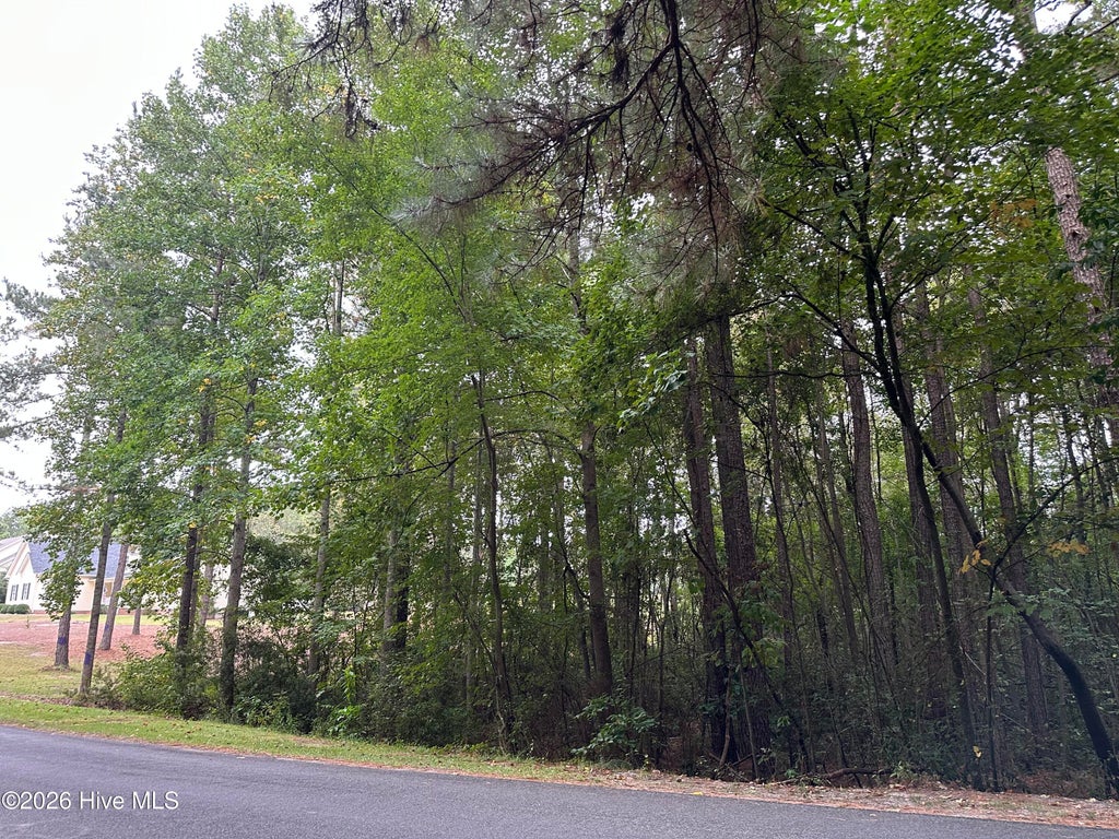 Photo of 134 Bellhaven Drive, Carthage, NC 28327 (MLS # 100608306)