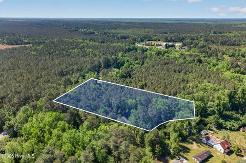 Tiny photo for 0 Borough Road, Currie, NC 28435 (MLS # 100568249)