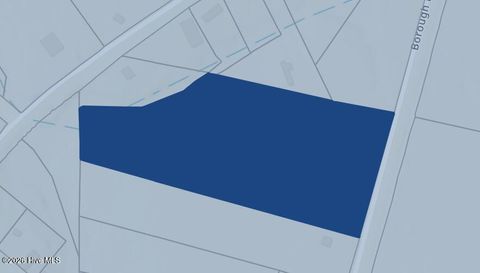 Tiny photo for 0 Borough Road, Currie, NC 28435 (MLS # 100568249)