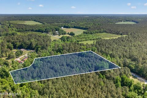 Tiny photo for 0 Borough Road, Currie, NC 28435 (MLS # 100568249)