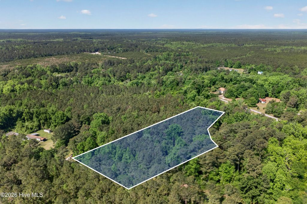 Photo of 0 Borough Road, Currie, NC 28435 (MLS # 100568249)