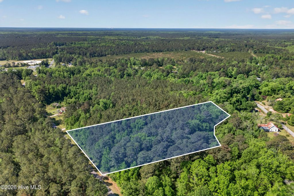 Photo of 0 Borough Road, Currie, NC 28435 (MLS # 100568249)