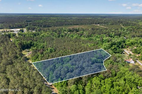 Tiny photo for 0 Borough Road, Currie, NC 28435 (MLS # 100568249)