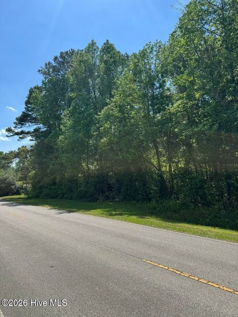 Tiny photo for 0 Borough Road, Currie, NC 28435 (MLS # 100568249)