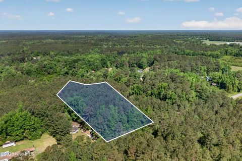 Tiny photo for 0 Borough Road, Currie, NC 28435 (MLS # 100568249)